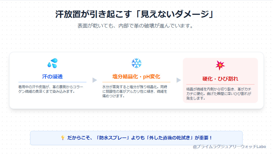汗が革ベルトにダメージを与えるメカニズム（塩分の結晶化とpH変化による硬化）